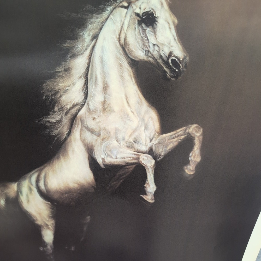 Sonia Torres Limited Edition Numbered, Signed Arabian Front Horse Artist's Print - Picture 3 of 8